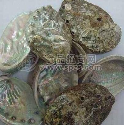 凱源廠家 石決明提取物 10：1 鮑魚(yú)殼提取物 直銷(xiāo)包郵