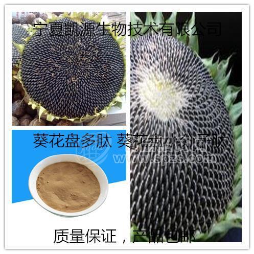 葵花盤(pán)肽98% 小分子肽 葵花盤(pán)提取物 葵花多肽