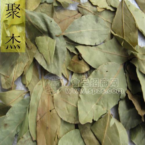 香叶粉 月桂叶粉 香桂叶粉 代加工调料粉