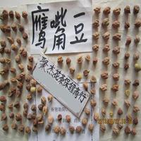 鹰嘴豆粉 鸡心豆粉 代加工细粉