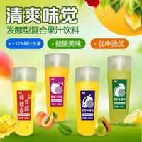 醉奥 发酵型复合果汁饮料 果味饮料招商450ml