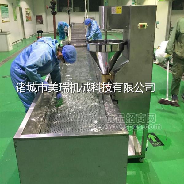 海鲜丸子生产线，丸子加工设备，丸子蒸煮槽