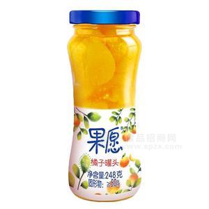 248g橘子罐头【果愿】