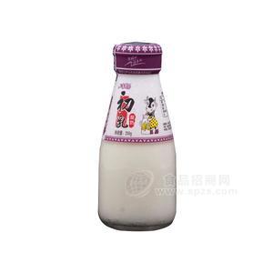 大富康园 初乳酸奶 乳饮料 200g