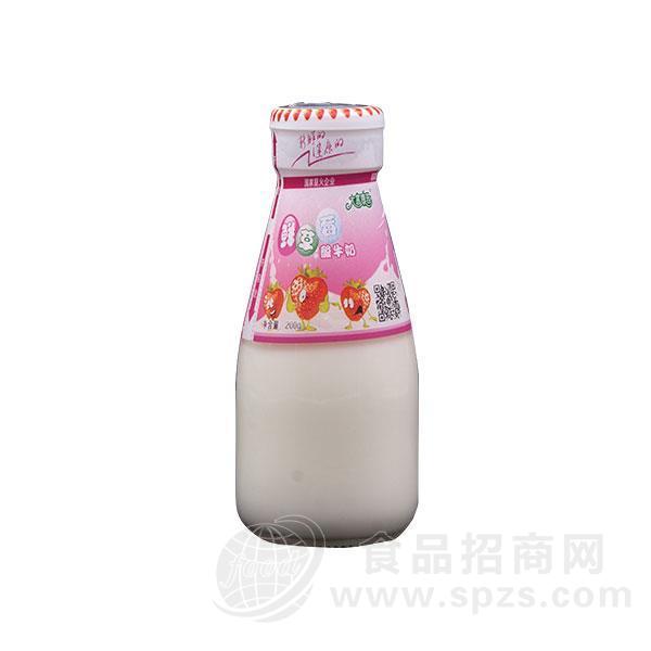 大富康园 鲜草莓酸牛奶 乳饮料200g