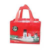 大富康园 老酸奶饮品 320克X12瓶