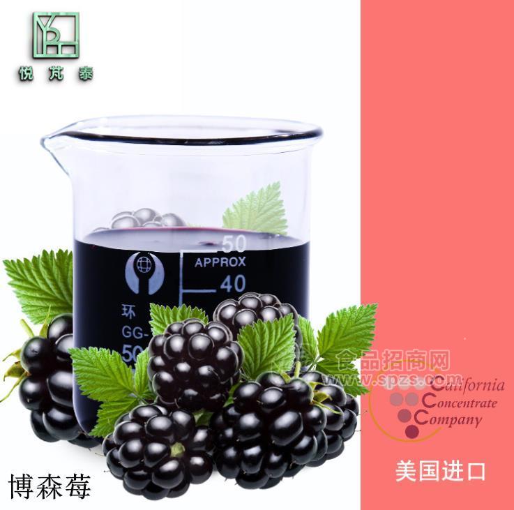 华南现货北美进口波森莓6倍浓缩汁
