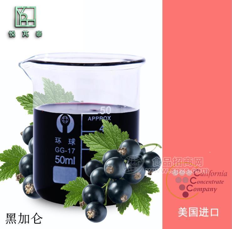 華南現(xiàn)貨北美進(jìn)口黑加侖6倍濃縮汁