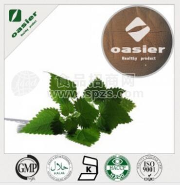 荨麻提取物