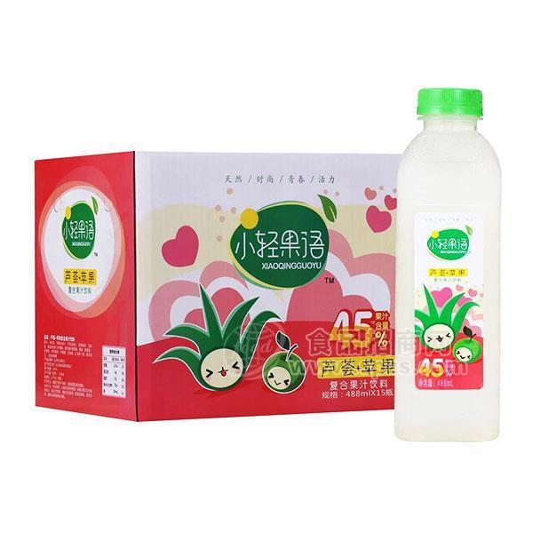 小轻果语 芦荟+苹果复合果汁饮料488mlx15瓶