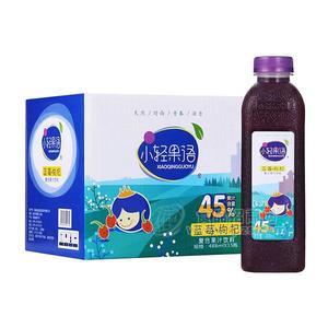 小轻果语 蓝莓+枸杞复合果汁饮料488mlx15瓶