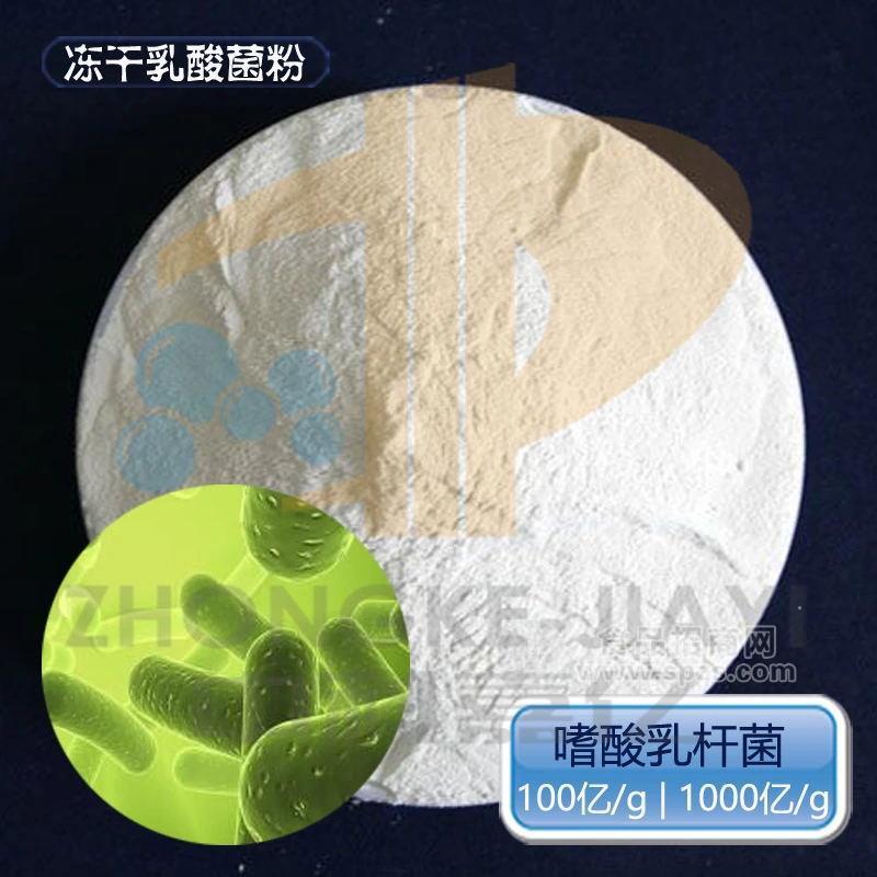 嗜酸乳杆菌 厂家优惠源头企业 益生菌冻干粉 肠道 发酵 乳酸杆菌