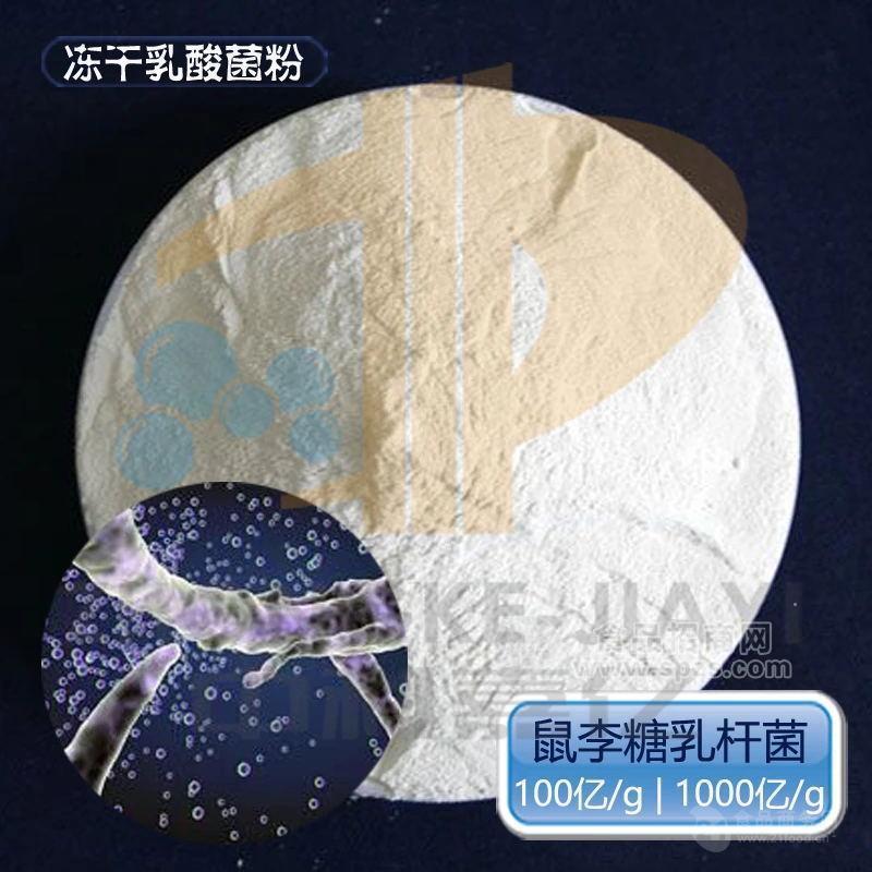 鼠李糖乳杆菌 冻干型乳酸菌粉 100亿每克 厂家直销 现货供应