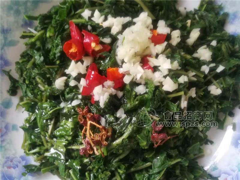 野菜蒲公英新鲜1斤起订现货