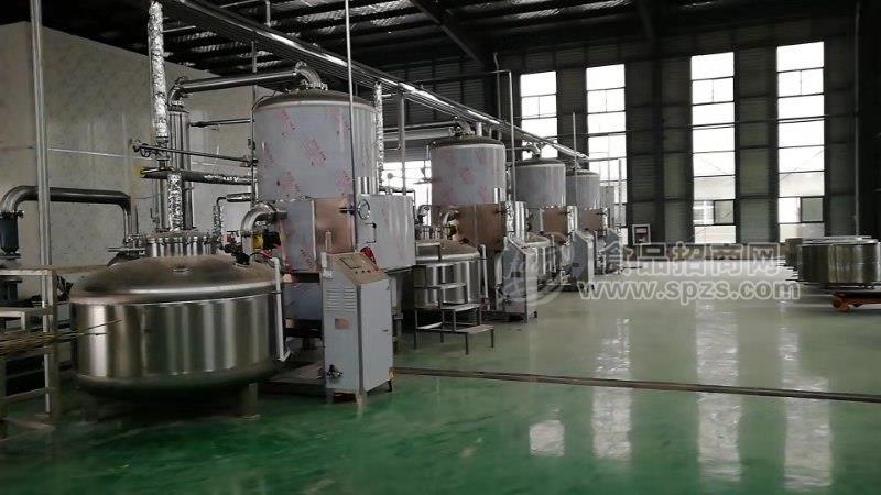 山东联兴 果蔬脆片油炸设备价格