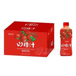 愛相依山楂汁風(fēng)味飲料380ml×15瓶