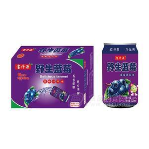 宝汁源野生蓝莓汁汽水320mlx24罐