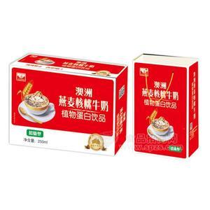 澳洲燕麥核桃牛奶植物蛋白飲品低糖型招商250mlx16盒