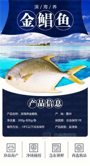 畫景金鯧魚