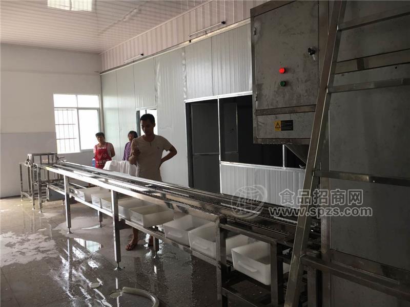 小型嫩豆腐加工机,全自动豆腐生产设备,福建冲浆豆腐机免费提供工艺技术