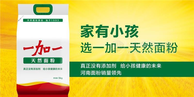 一加一招商