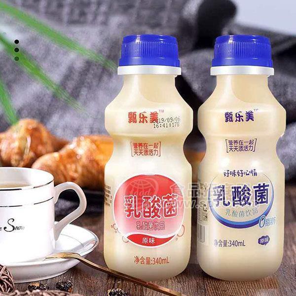 甄乐美原味乳酸菌340ml