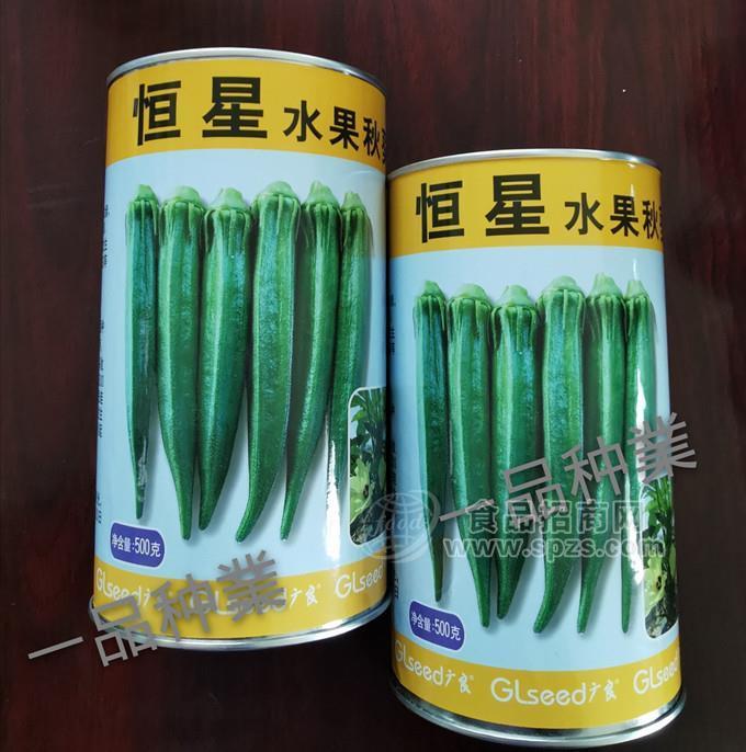 恒星水果秋葵种子