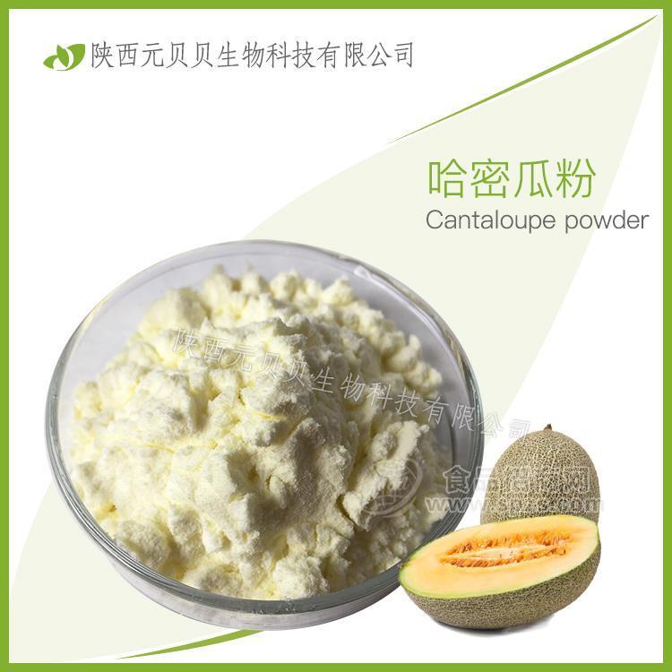 速溶哈密瓜果汁粉 元贝贝厂家直供口感好营养丰富 哈密瓜粉
