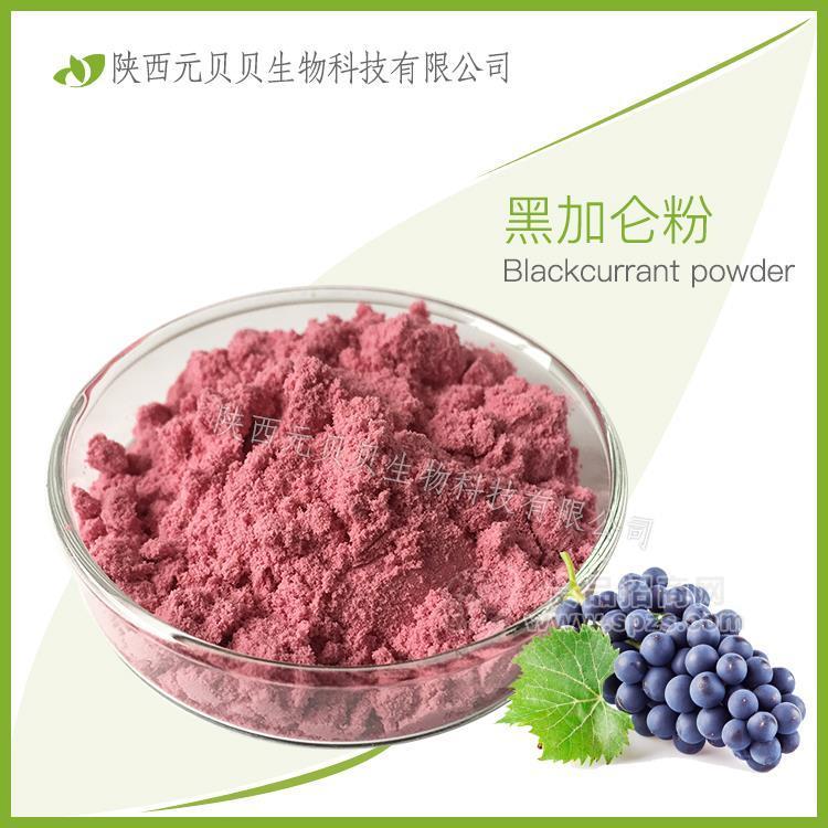 速溶黑加仑果汁粉 口感好SC源头厂家直供 黑加仑提取物 黑加仑粉
