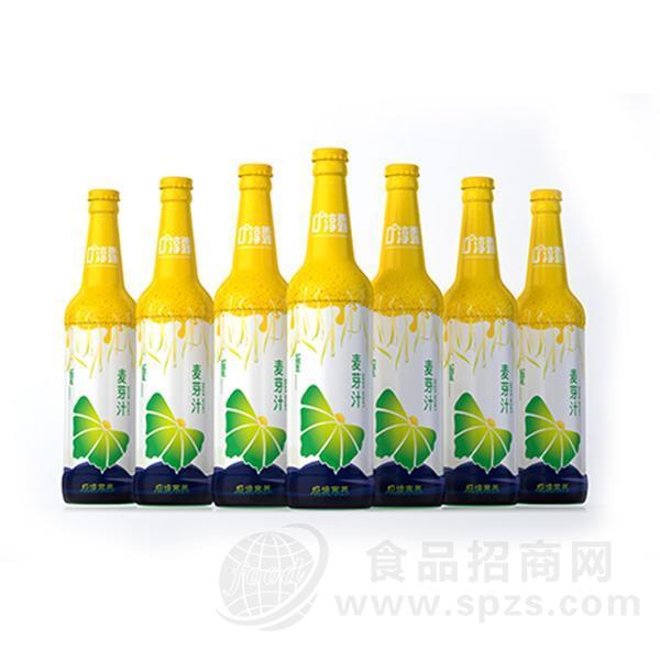 ·淳露 麦芽汁 植物饮料招商580ml 