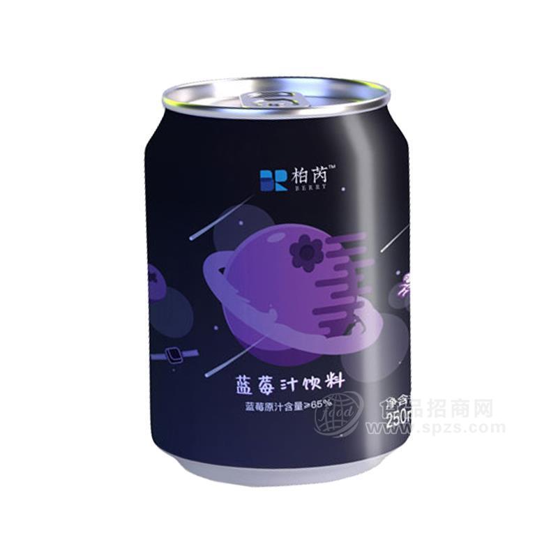 貴州藍美_藍莓果汁飲料