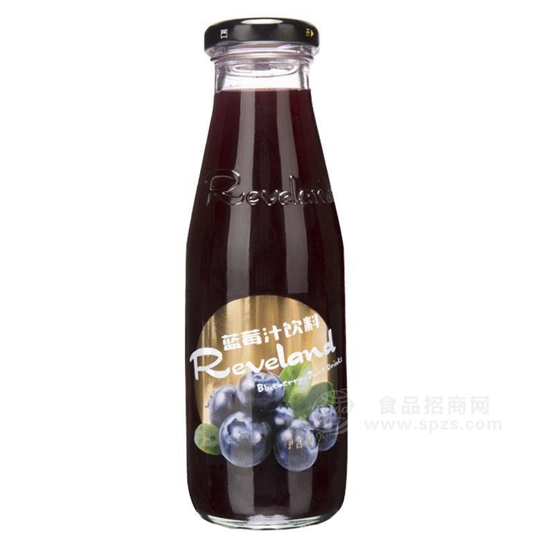 貴州藍美_藍莓果汁瓶裝258ml