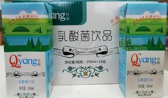 輕陽乳酸菌飲品（整箱）招商