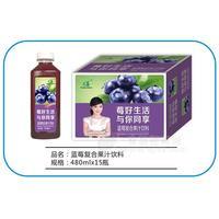 九州華洋 藍莓復(fù)合果汁飲料招商480mlx15瓶