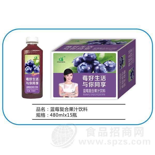 九州华洋 蓝莓复合果汁饮料招商480mlx15瓶