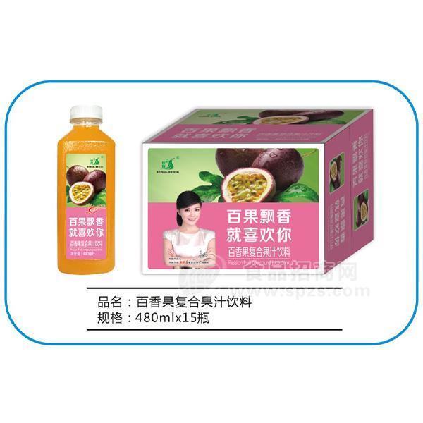 九州华洋 百香果复合果汁饮料招商480mlx15瓶