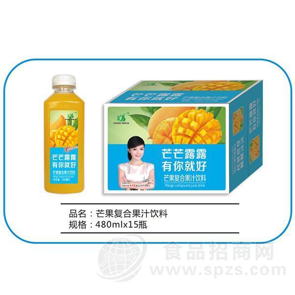 九州华洋 芒果复合果汁饮料招商480mlx15瓶