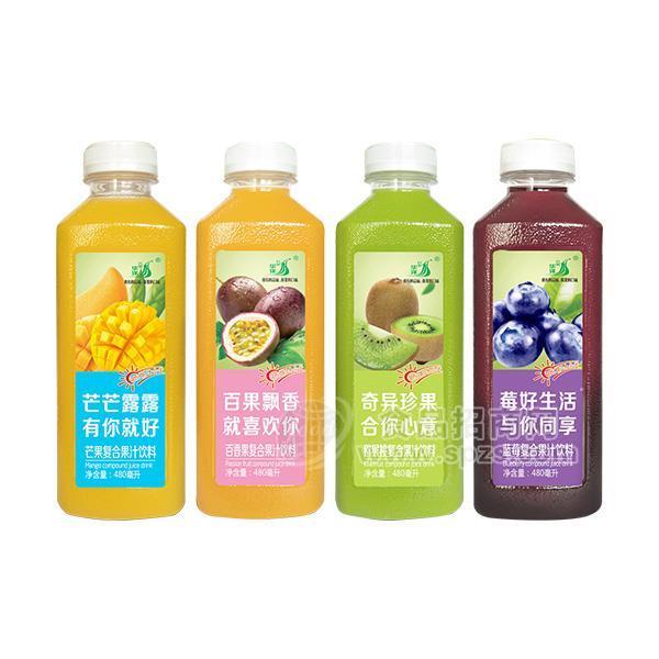 九州華洋 復(fù)合果汁飲料 480ml