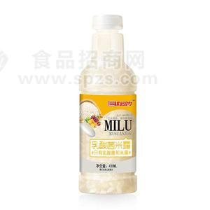 E刻动力 乳酸菌米露 无醇米露 风味饮料招商430ml