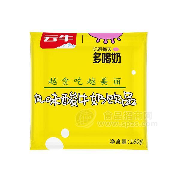 云牛 风味酸牛奶饮品 饮料 180g