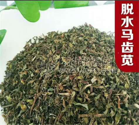 菜老蔫脫水馬齒莧切碎，泡發(fā)率4到5倍，廠家直銷