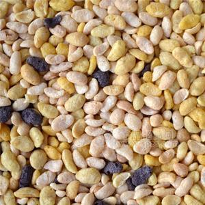 杂粮麦片 荞麦 苦荞麦片 青稞麦片招商