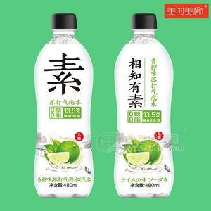 青柠味苏打水气泡水480ml 无糖饮料