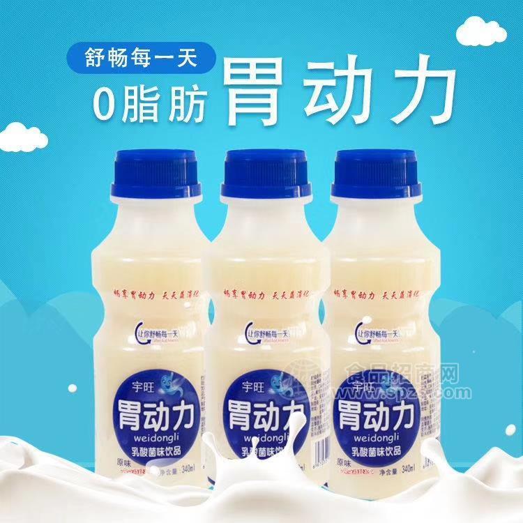 乳酸菌飲品 340ml*12瓶裝 兒童牛奶酸奶益生菌飲料廠家批發(fā)招商