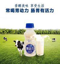 乳酸菌飲品 340ml*12瓶裝 兒童牛奶酸奶益生菌飲料廠家批發(fā)招商招商