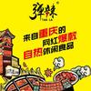 重庆逸亮科技有限公司