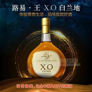 天津港保稅區(qū)進(jìn)口紅酒加盟 路易·王X.O特級白蘭地 30年陳釀