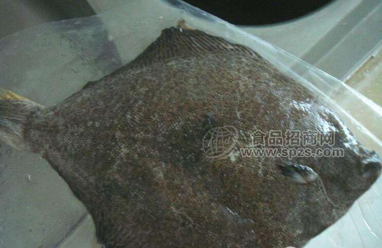冷冻秋刀鱼，带鱼，黄花鱼，桂花鱼，多宝鱼等
