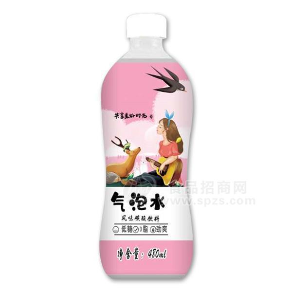 氣泡水 風(fēng)味碳酸飲料 480ml