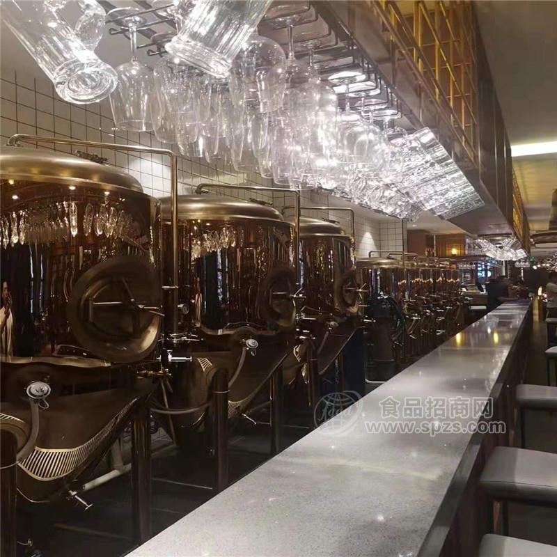 精酿啤酒设备价格